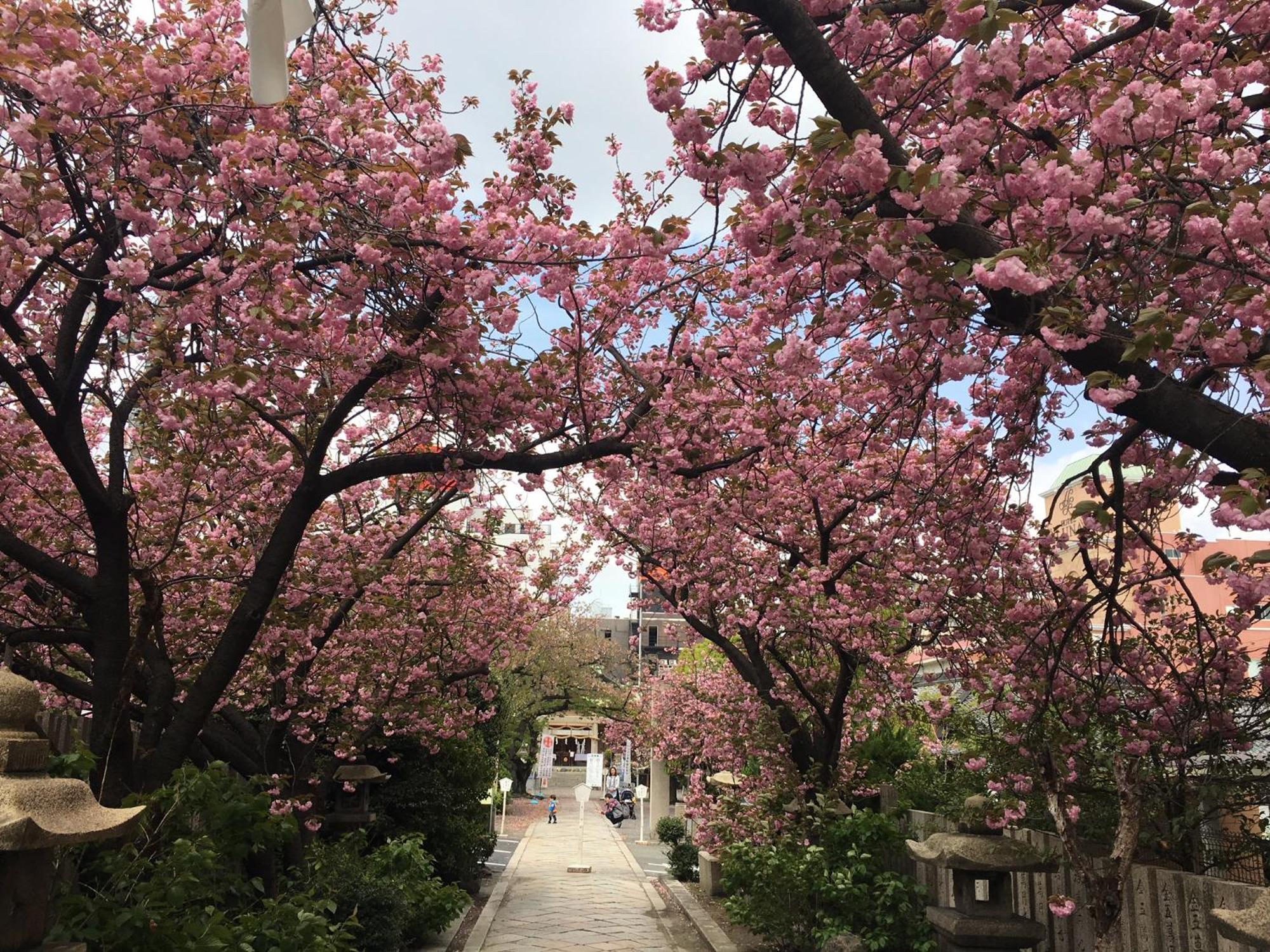 Hotel Noah Grande (Adults Only) Osaka Zewnętrze zdjęcie