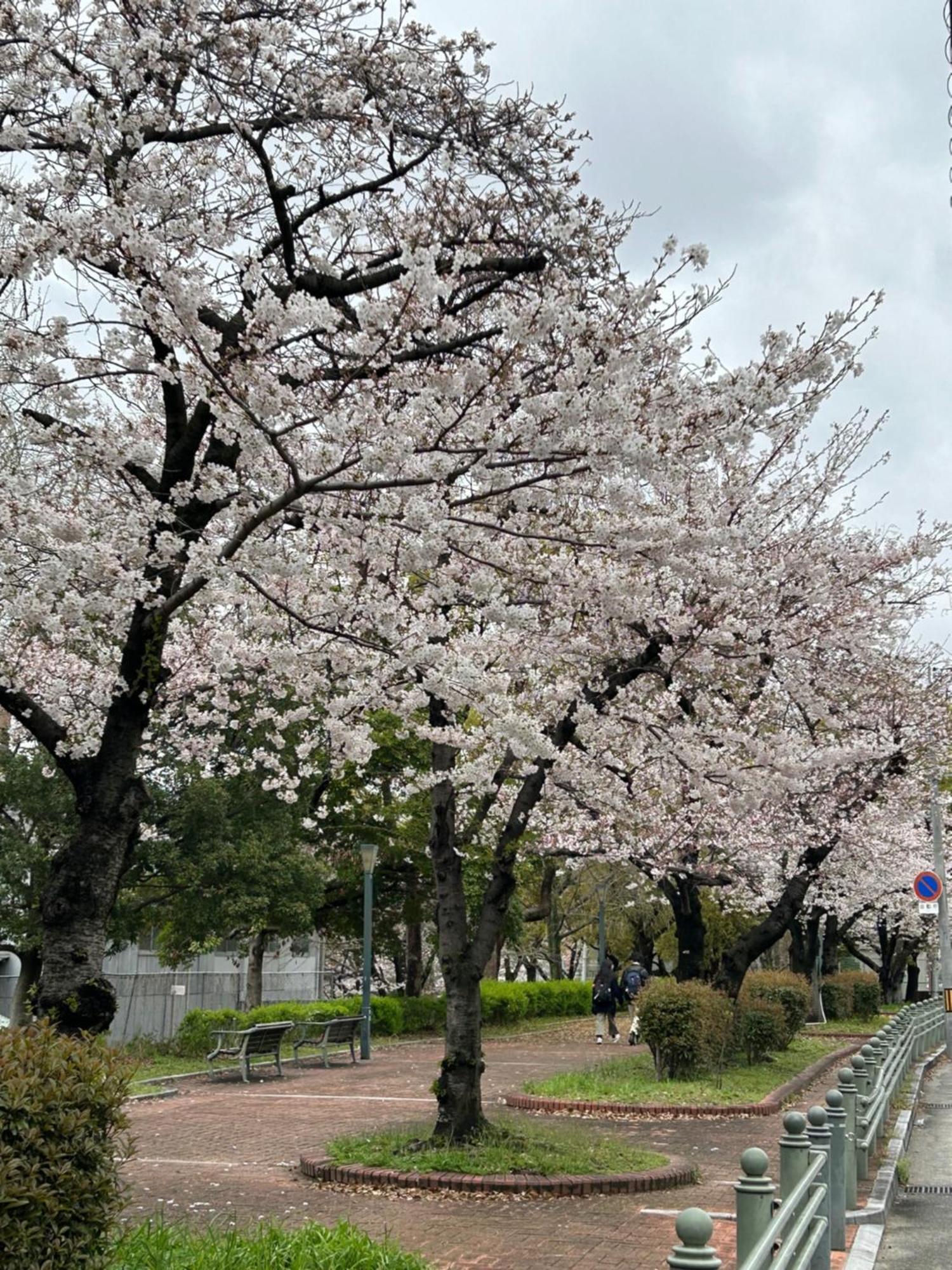Hotel Noah Grande (Adults Only) Osaka Zewnętrze zdjęcie