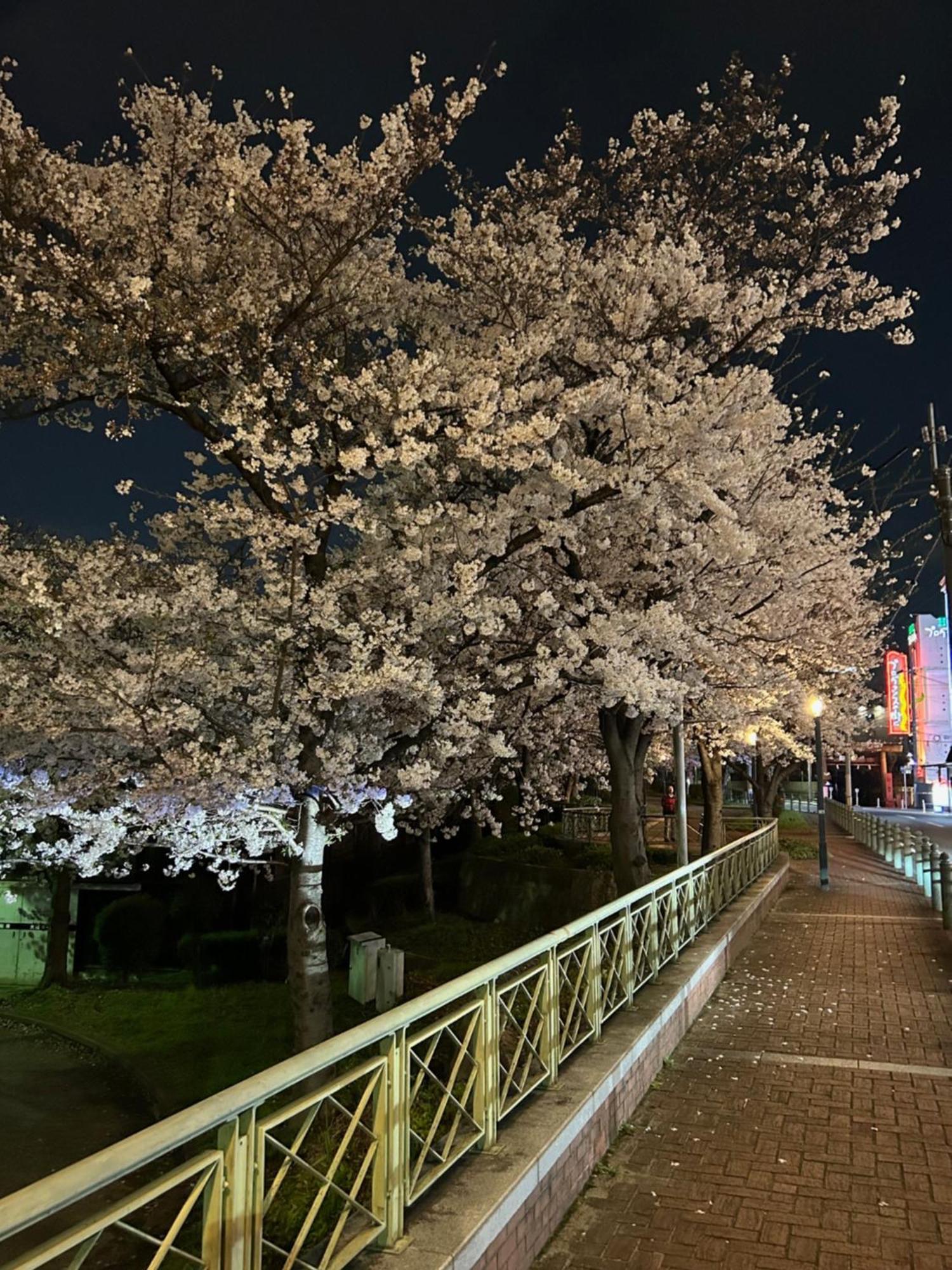 Hotel Noah Grande (Adults Only) Osaka Zewnętrze zdjęcie