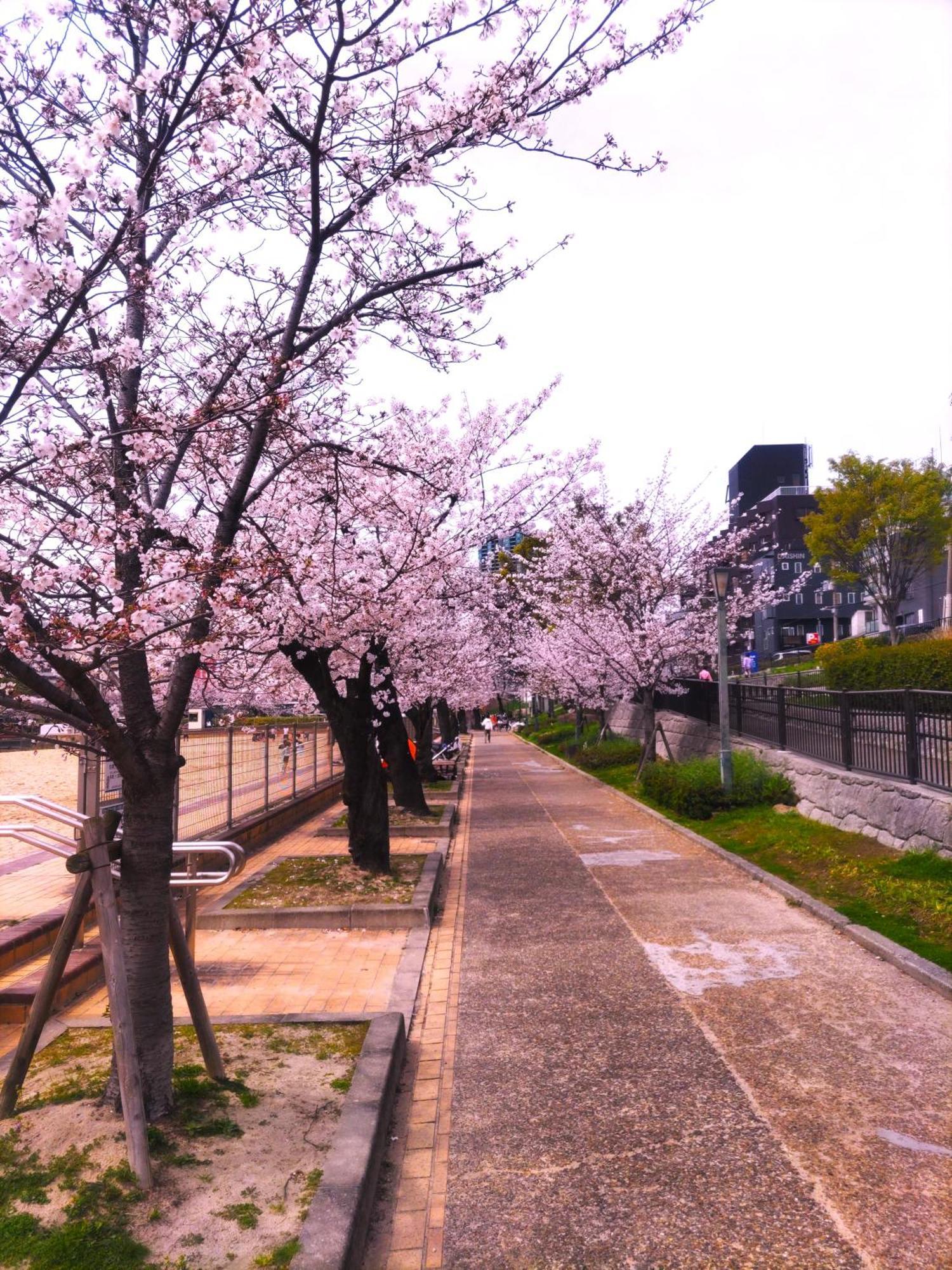 Hotel Noah Grande (Adults Only) Osaka Zewnętrze zdjęcie
