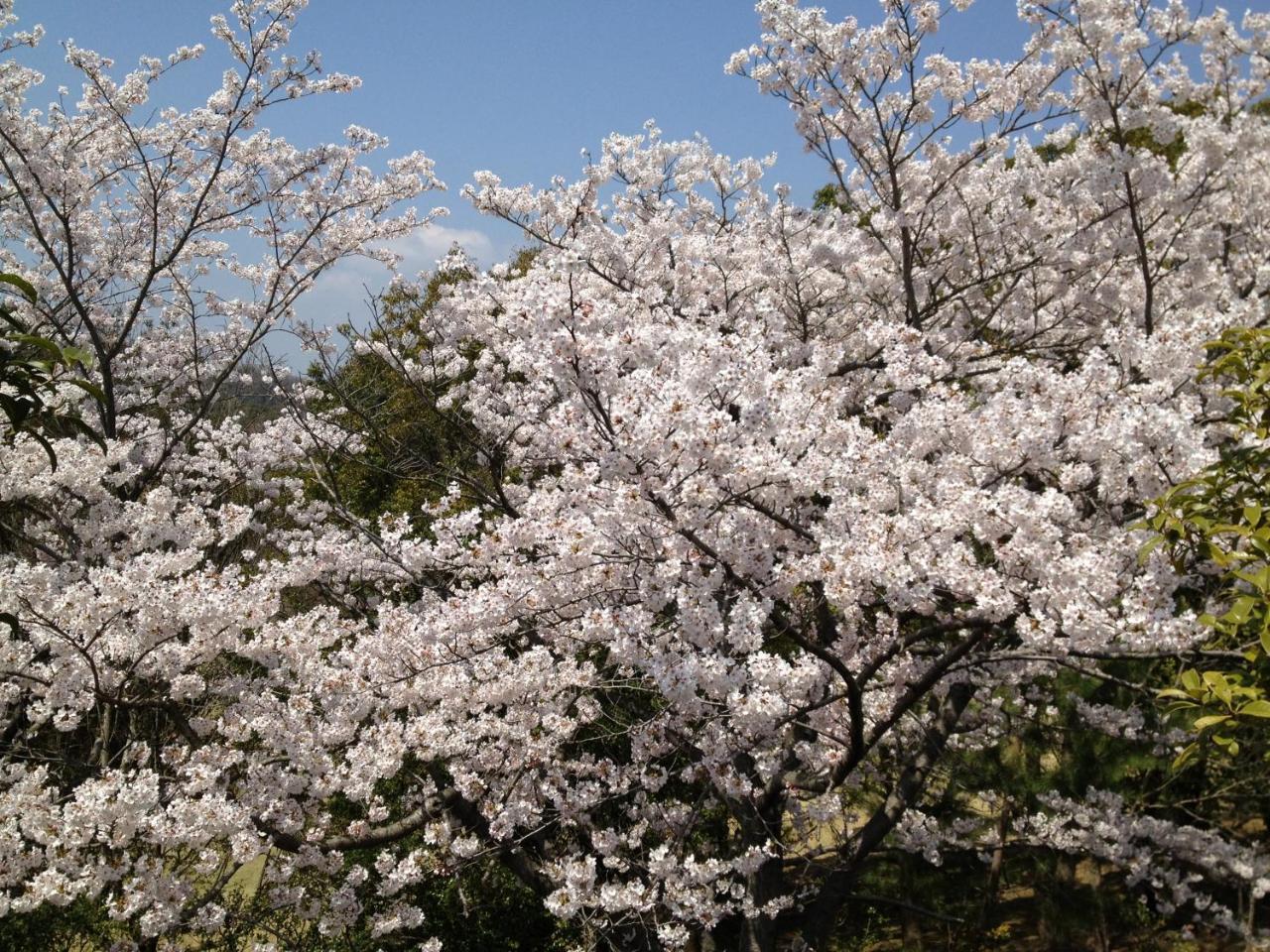 Hotel Noah Grande (Adults Only) Osaka Zewnętrze zdjęcie